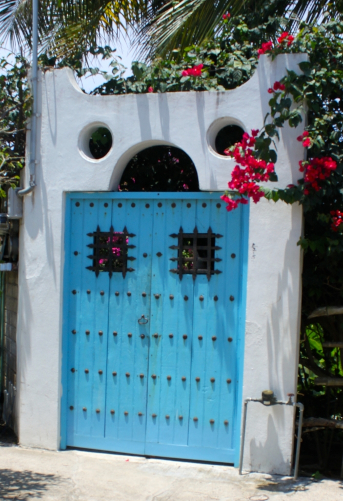 Door, design details