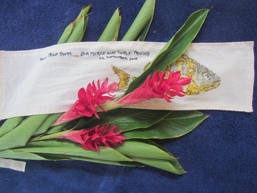 Sail-maker Mike, Villa Amor del Mar, La Cruz de Huanacaxtle