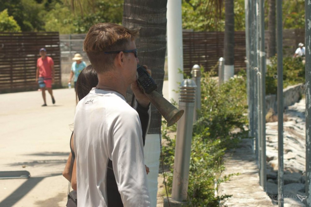 Sail-maker Mike, Villa Amor del Mar, La Cruz de Huanacaxtle