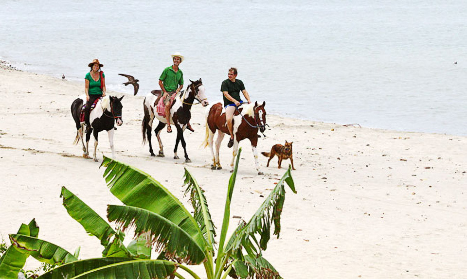 La Cruz beach. horses on the beach