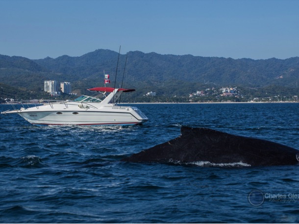 SeaRenity, Peac on the bay, La Cruz de Huanacxatle