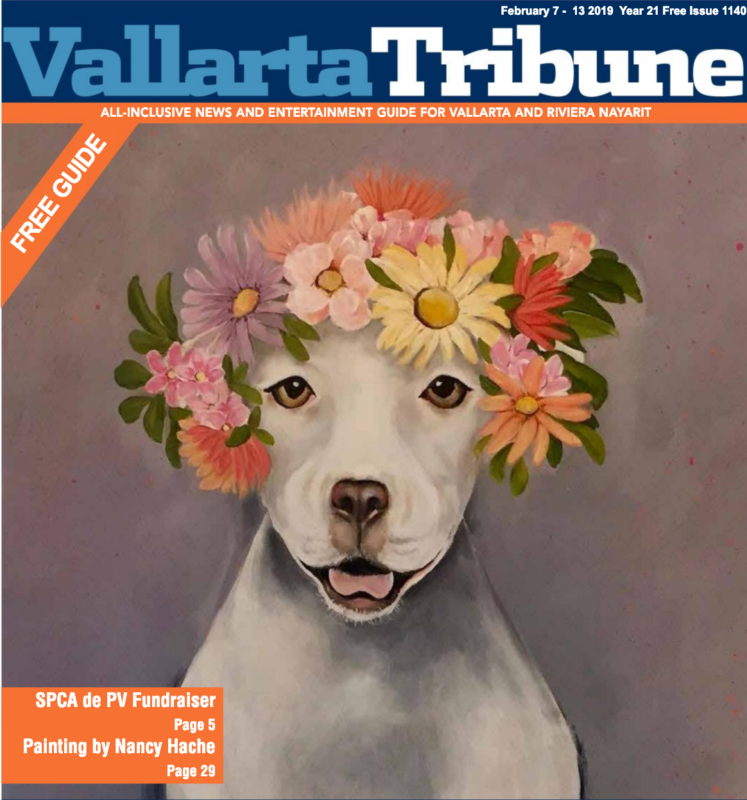 Vallarta Tribune 